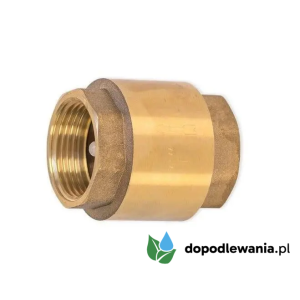 Zawór zwrotny Mosiężny | GW / GW | Rozmiar: 2"
